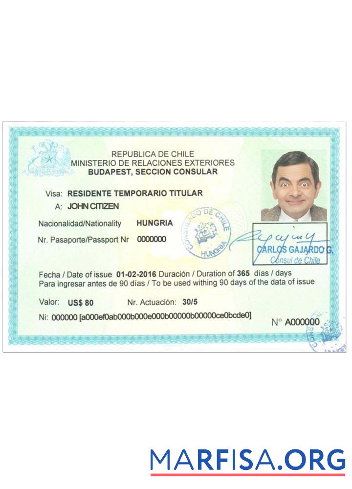 Realistic Chile visa sample